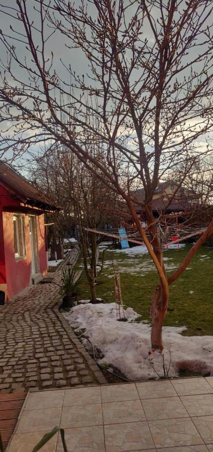 Casa Terzea Hotell Rîşnov Eksteriør bilde